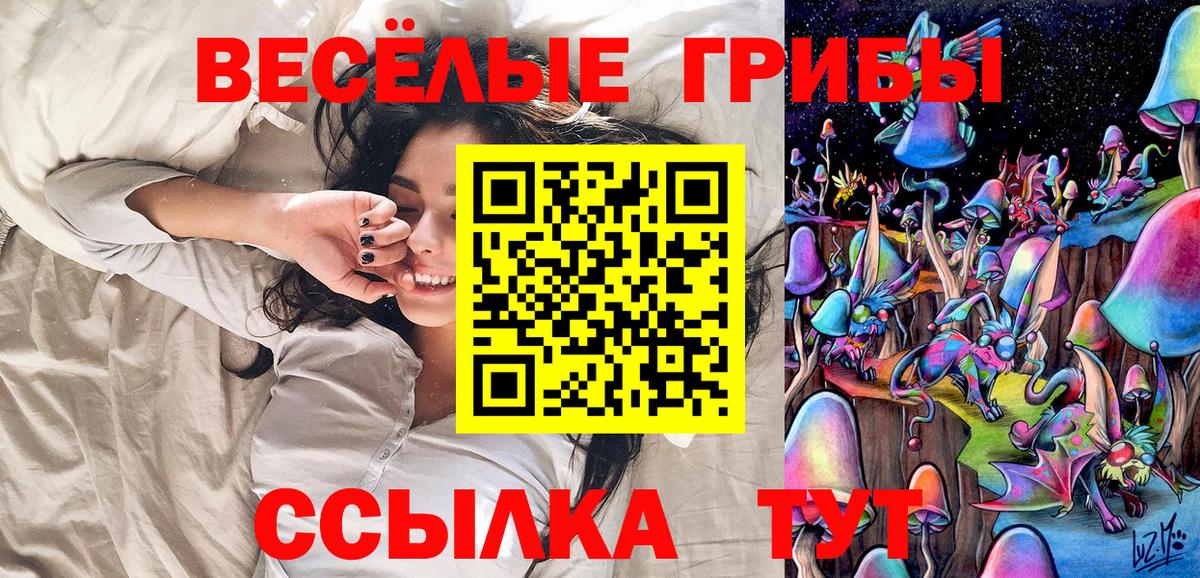 Галлюциногенные грибы Psilocybe Карталы